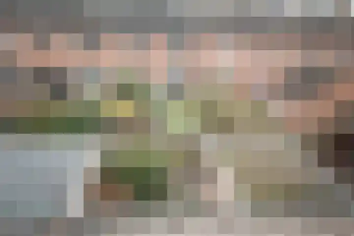 Asterstraat 14 Wierden thumbnail 55