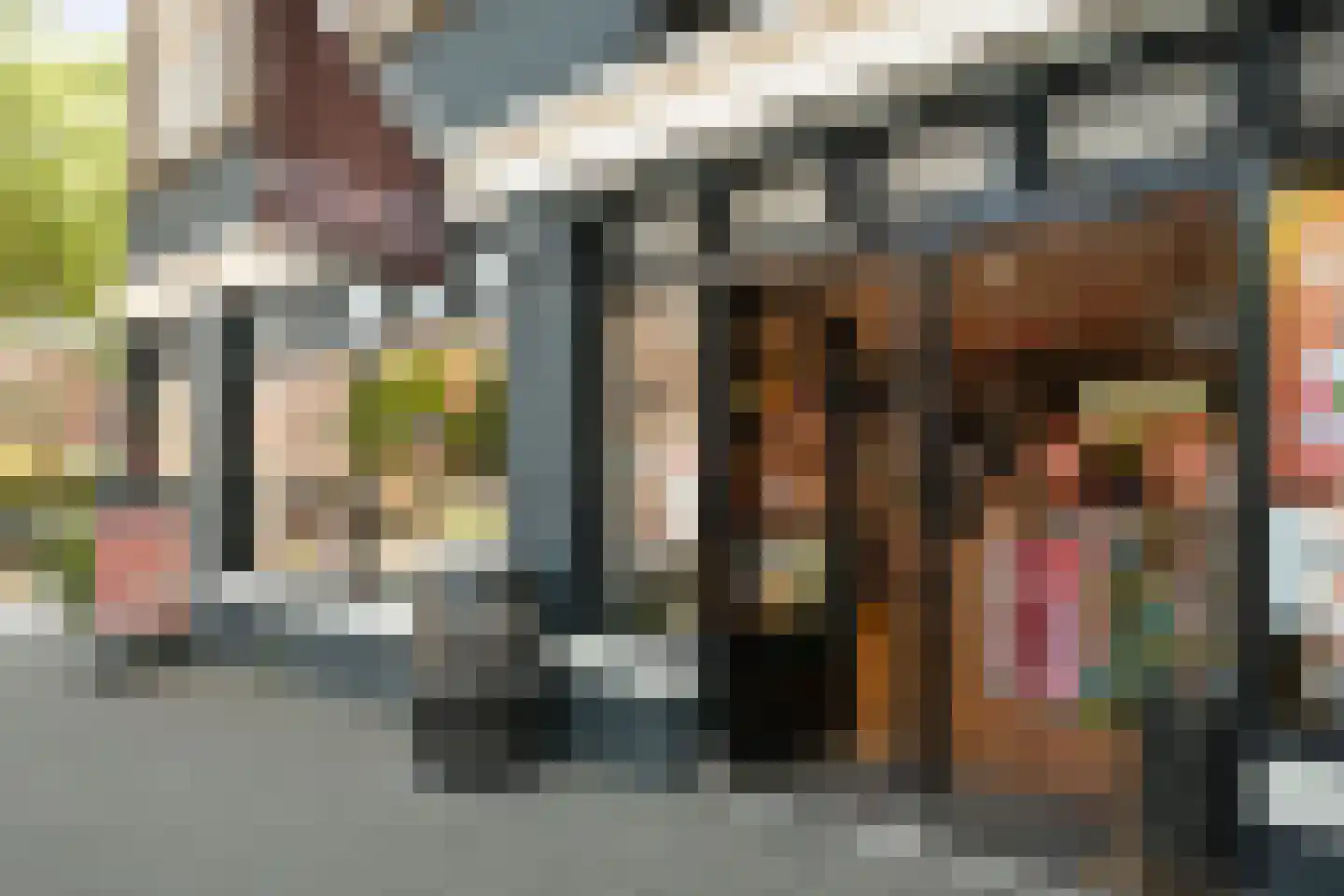 Asterstraat 140 Den Haag thumbnail 48