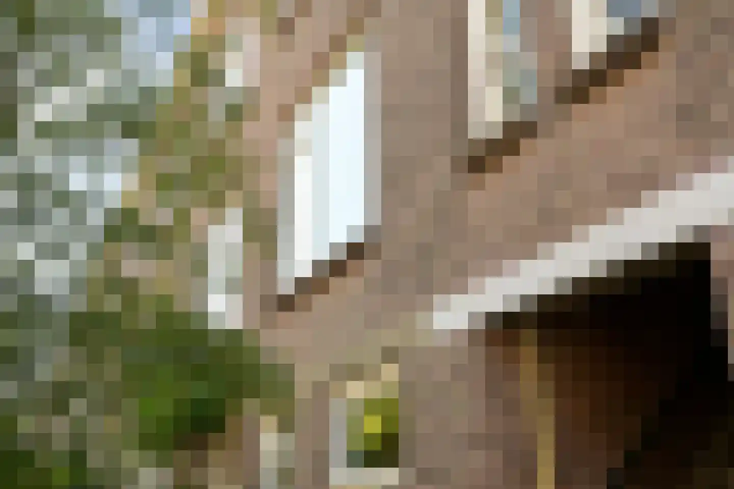Asterstraat 140 Den Haag thumbnail 9