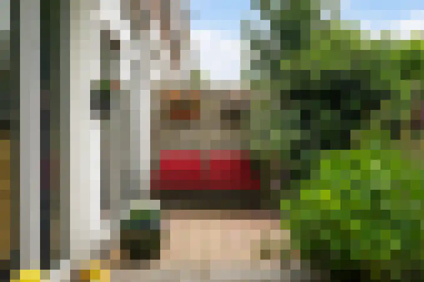 Asterstraat 150 Den Haag thumbnail 18