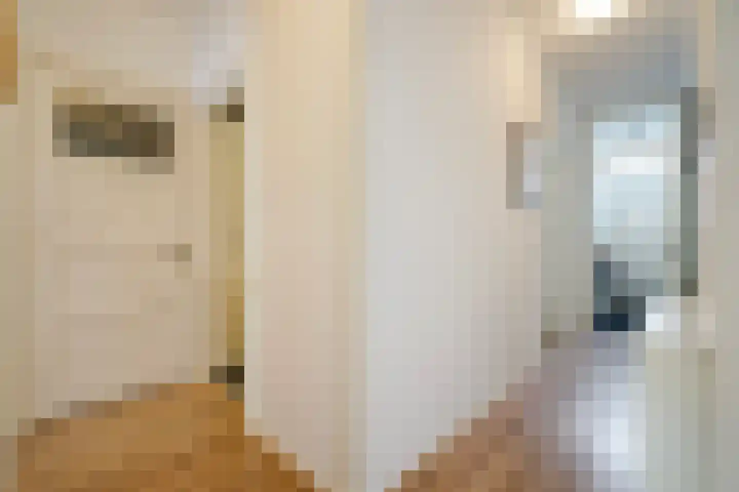 Asterstraat 150 Den Haag thumbnail 32