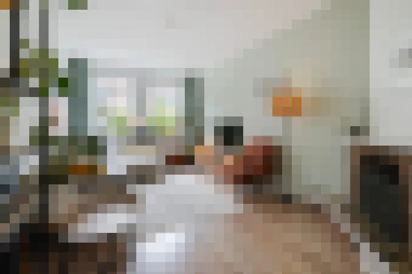 Asterstraat 150 Den Haag thumbnail 7