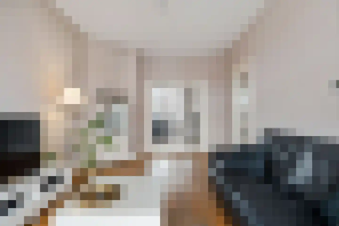 Asterstraat 154 Den Haag thumbnail 7