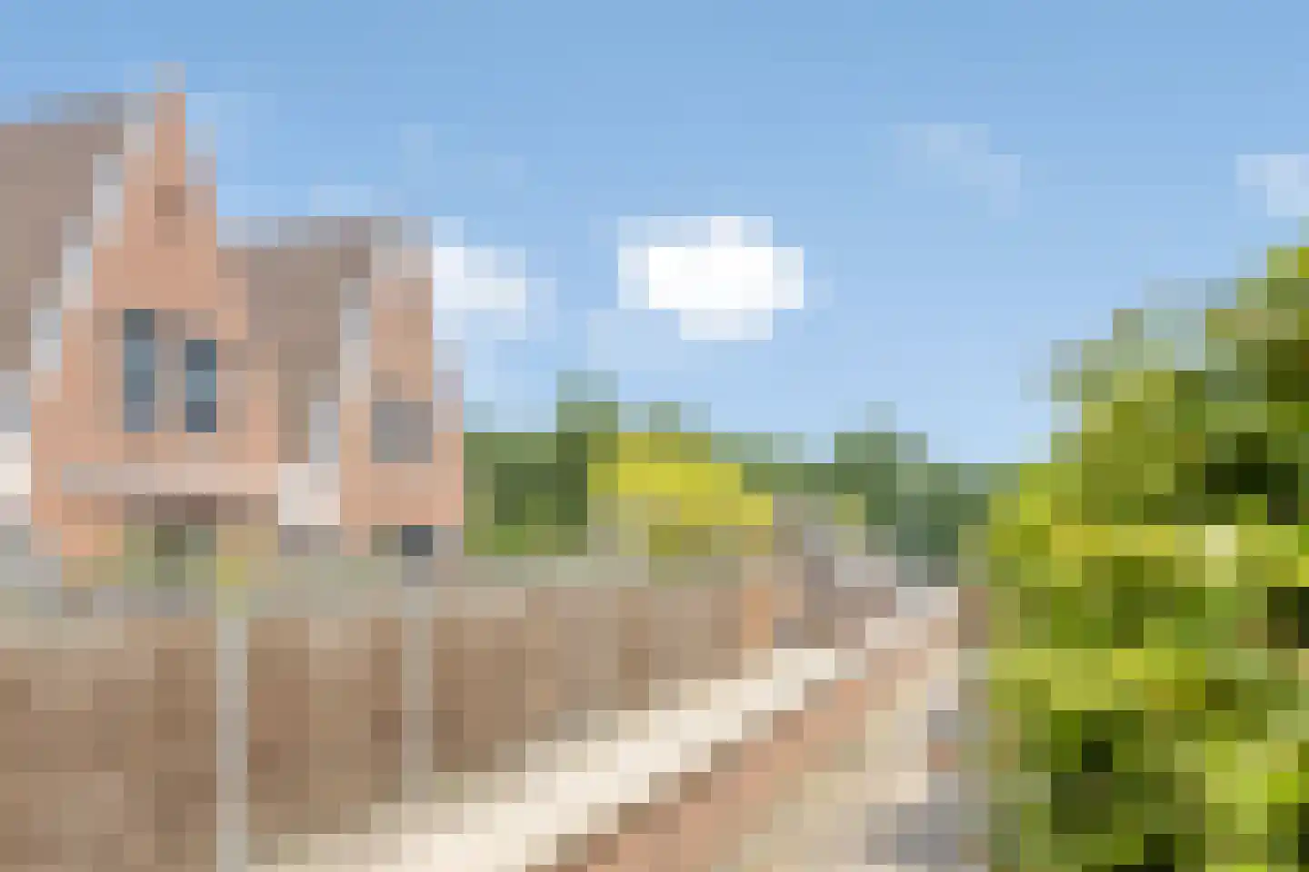 Asterstraat 16 Doetinchem thumbnail 35