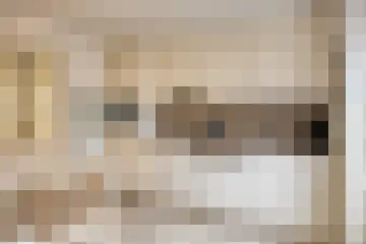 Asterstraat 16 Rosmalen thumbnail 7