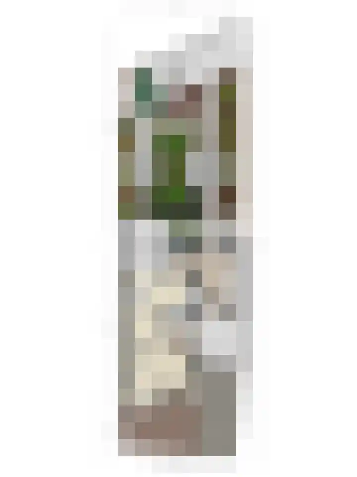 Asterstraat 16 Rosmalen thumbnail 8