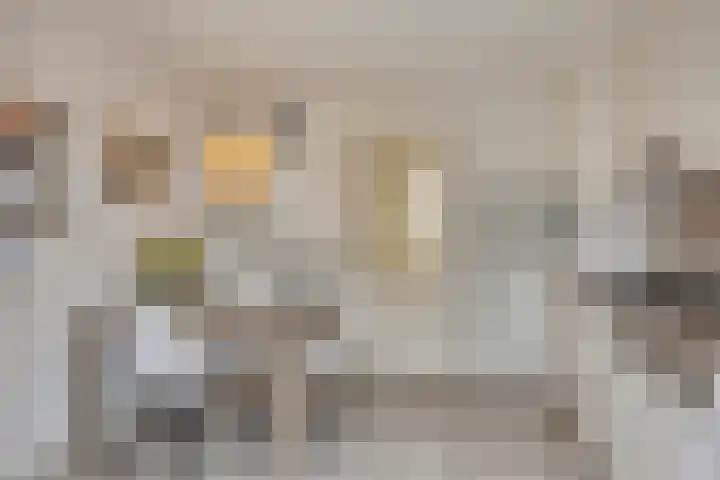 Asterstraat 16 Rosmalen thumbnail 8
