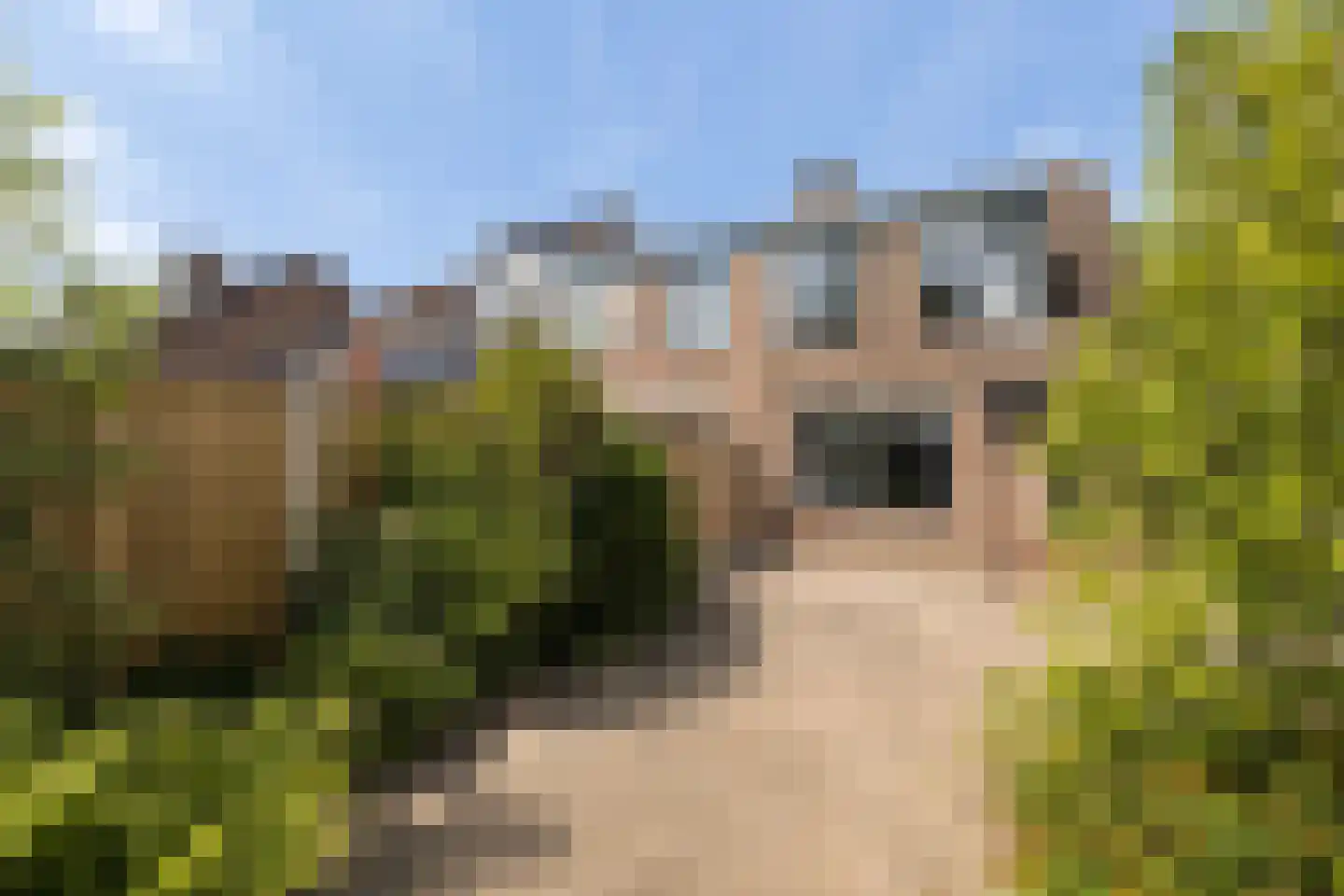 Asterstraat 16 Zuid-Beijerland thumbnail 28