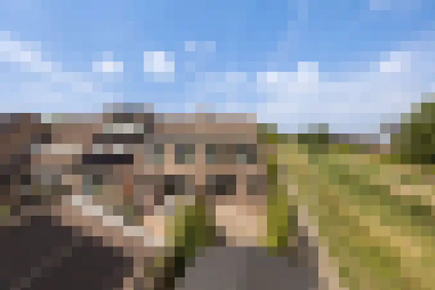 Asterstraat 16 Zuid-Beijerland thumbnail 29