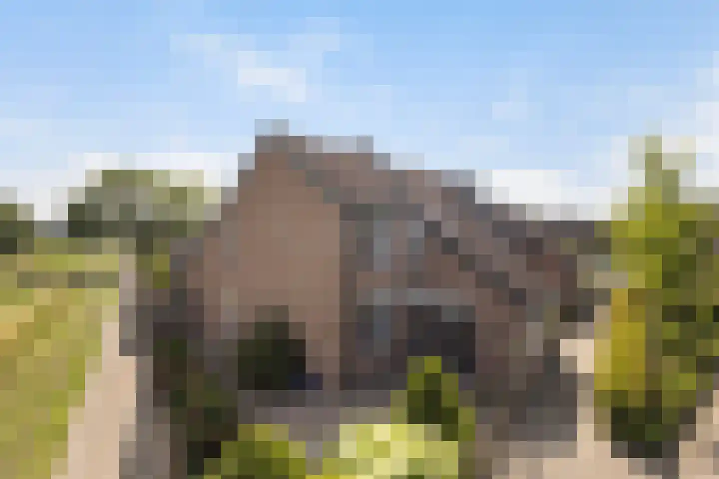 Asterstraat 16 Zuid-Beijerland thumbnail 32