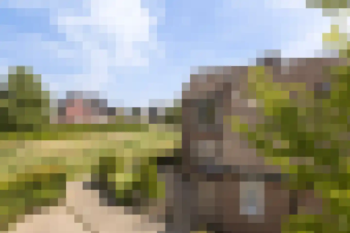 Asterstraat 16 Zuid-Beijerland thumbnail 33