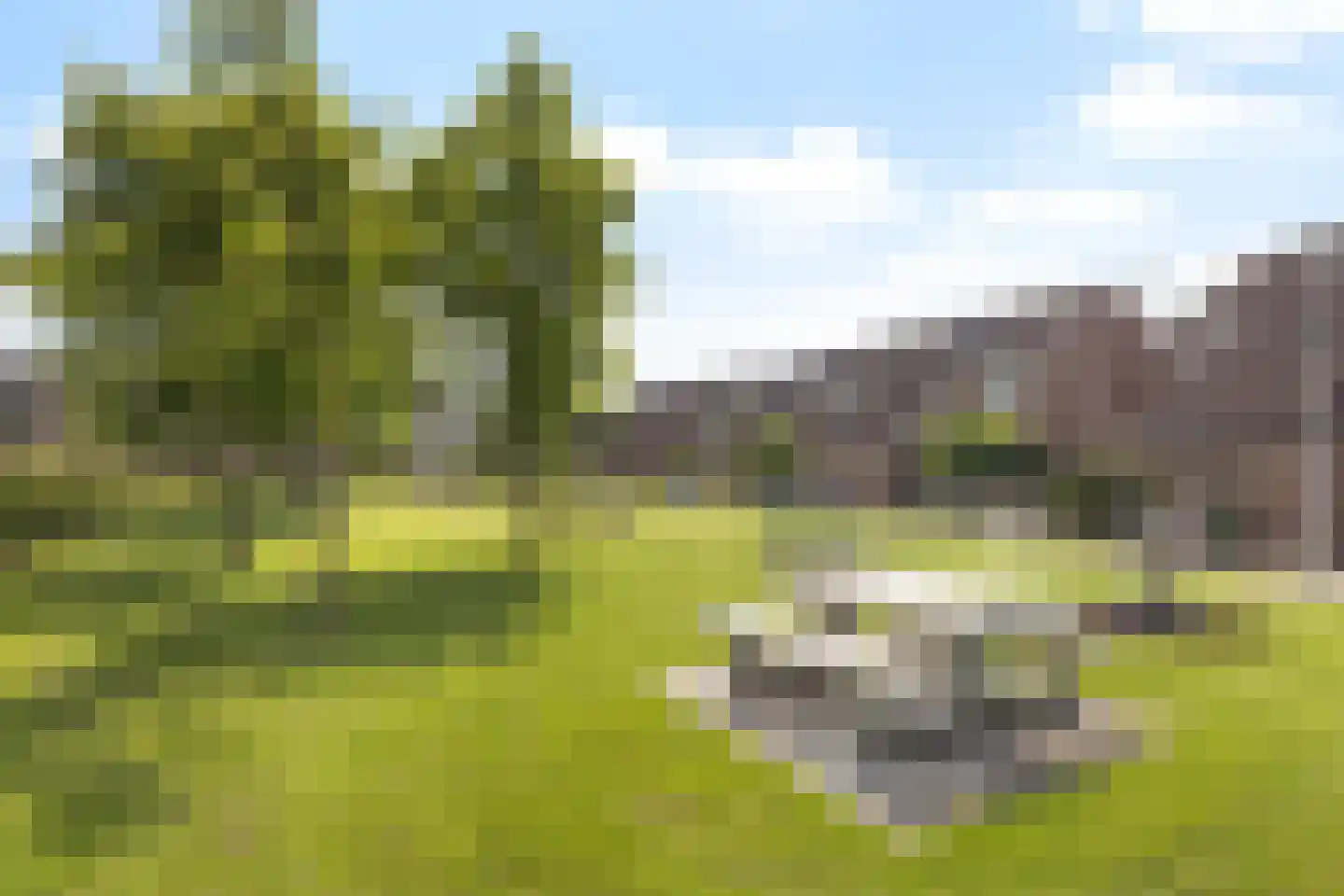 Asterstraat 16 Zuid-Beijerland thumbnail 35