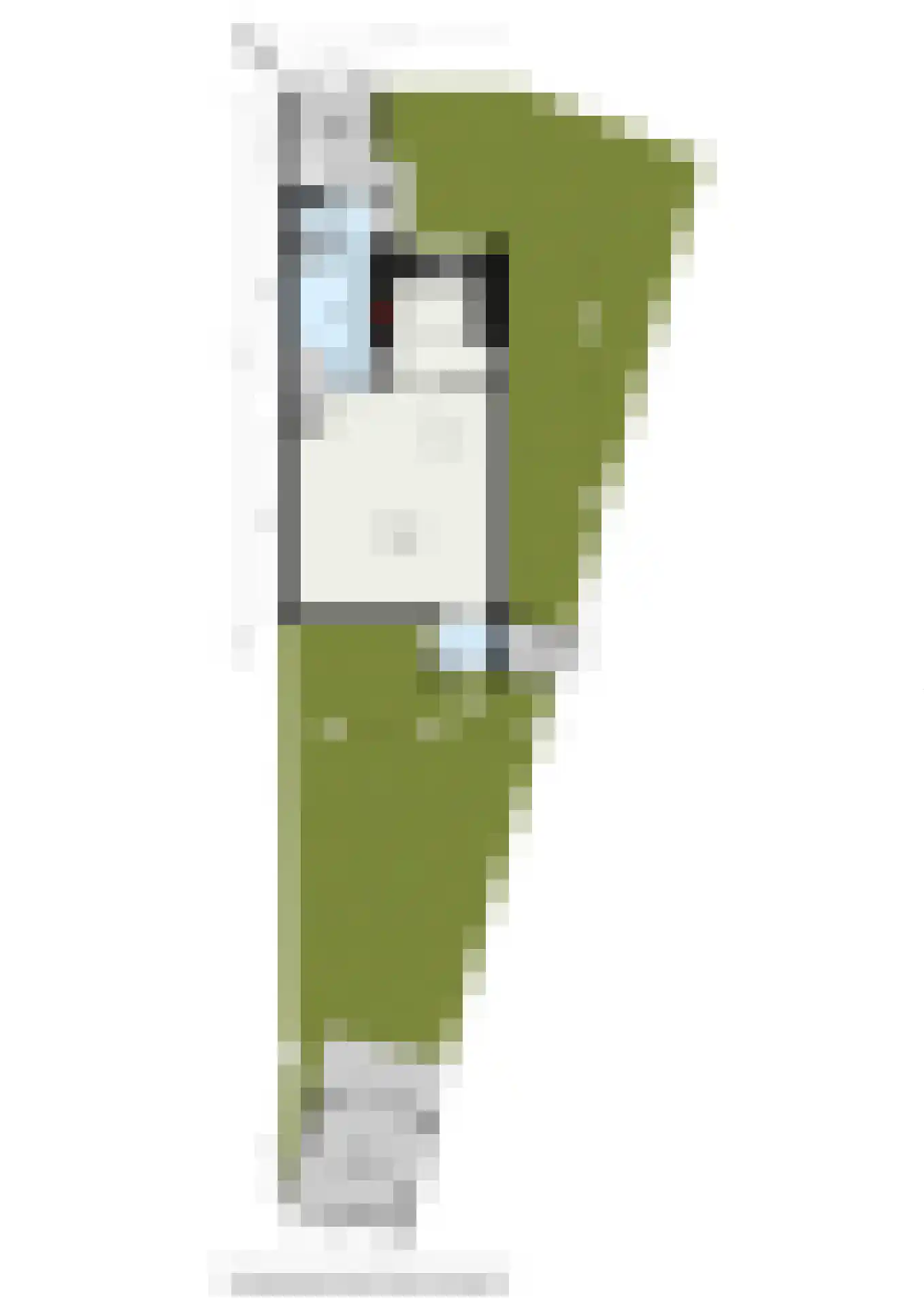 Asterstraat 16 Zuid-Beijerland thumbnail 37