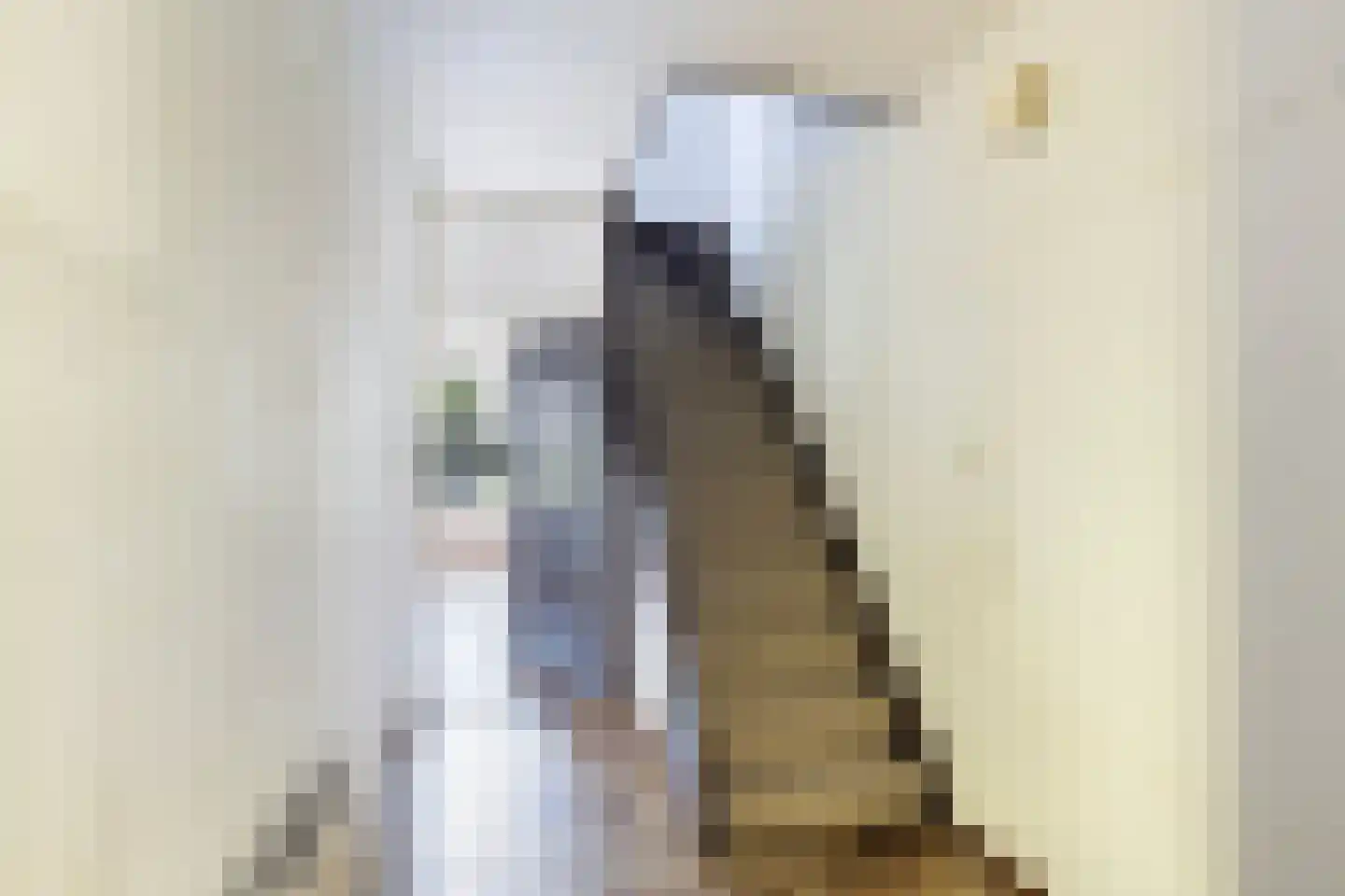 Asterstraat 16 Zuid-Beijerland thumbnail 5