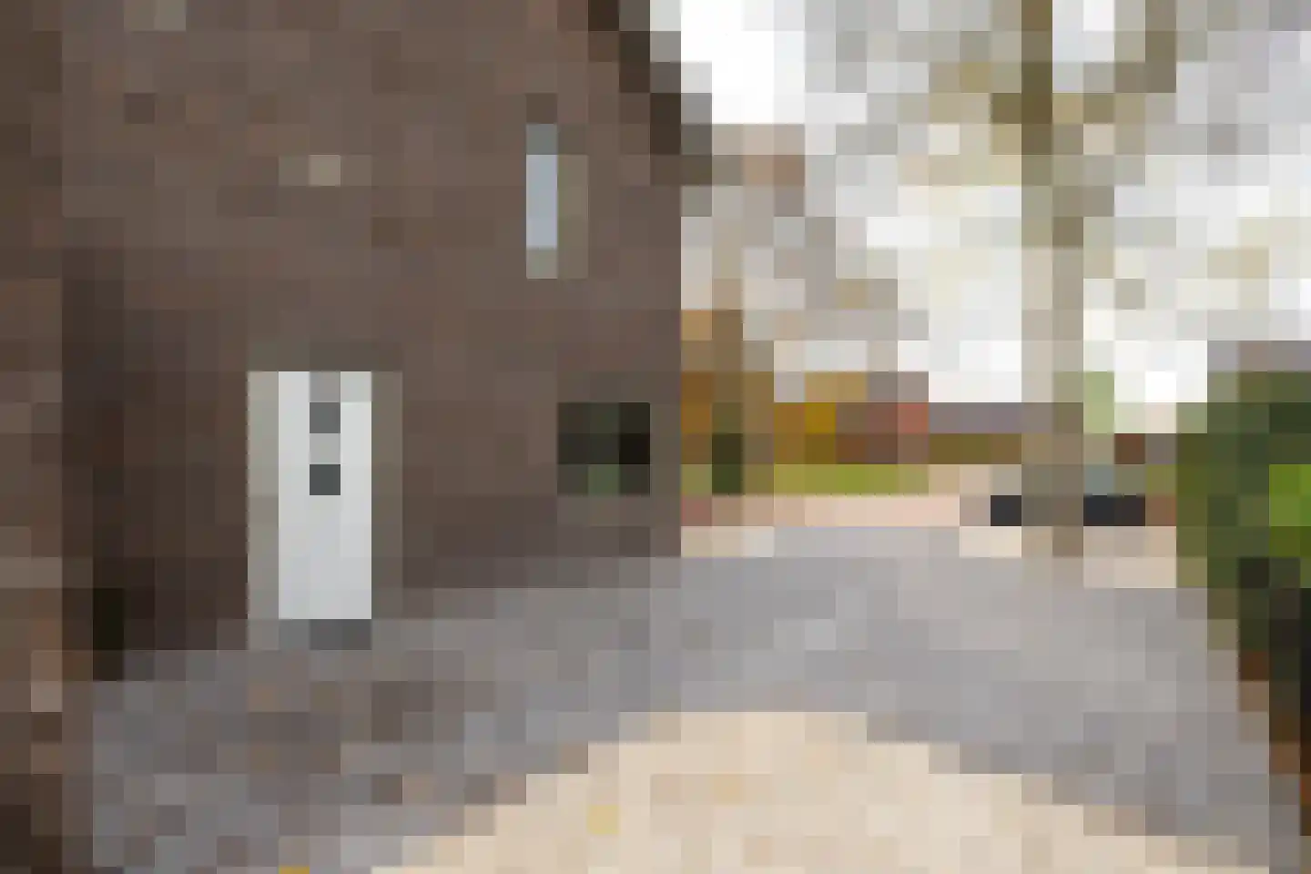 Asterstraat 161 Doetinchem thumbnail 50