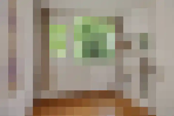 Asterstraat 17 Heesch thumbnail 21
