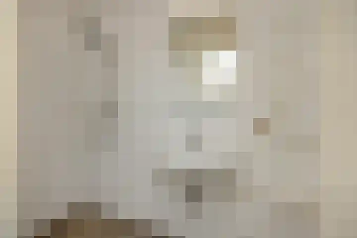 Asterstraat 17 Heesch thumbnail 22