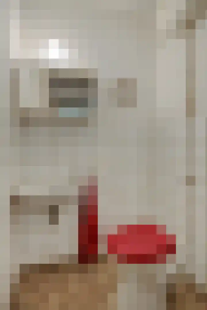 Asterstraat 17 Heesch thumbnail 23