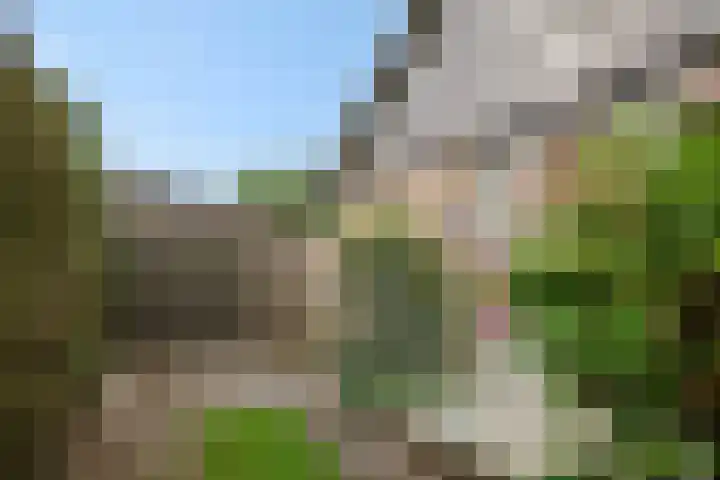 Asterstraat 17 Heesch thumbnail 28