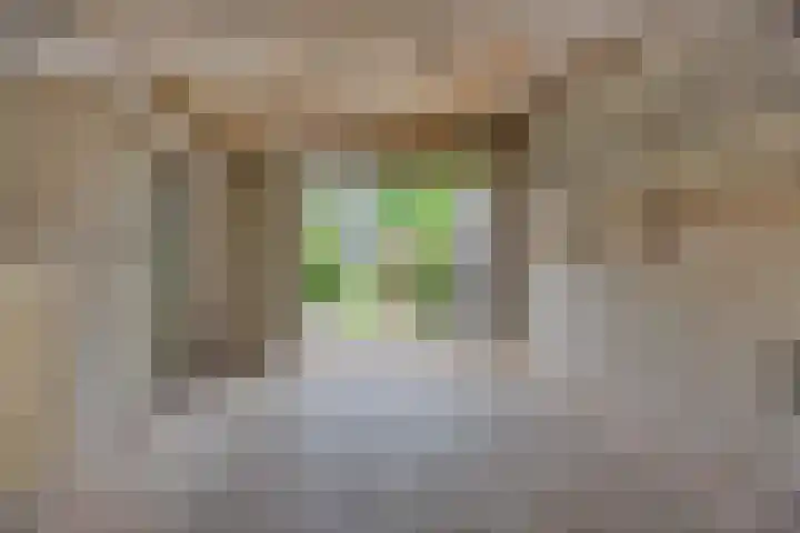 Asterstraat 17 Heesch thumbnail 31