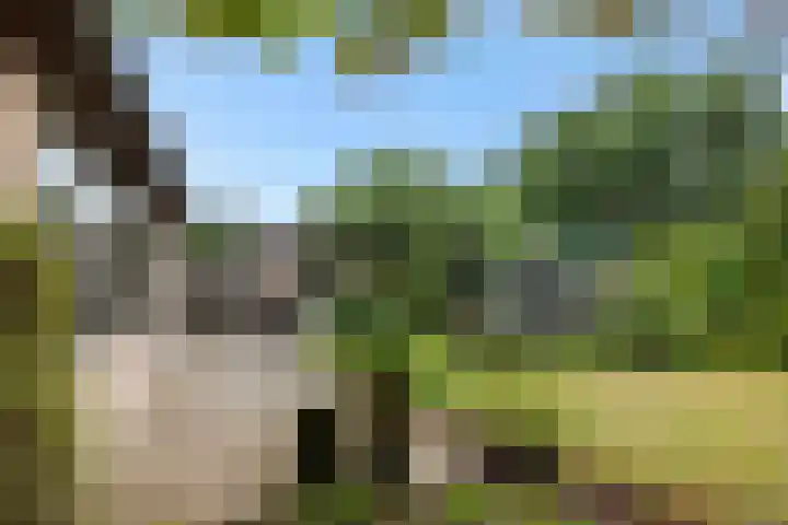 Asterstraat 17 Heesch thumbnail 32