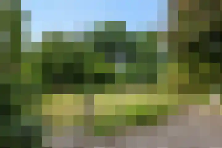 Asterstraat 17 Heesch thumbnail 36