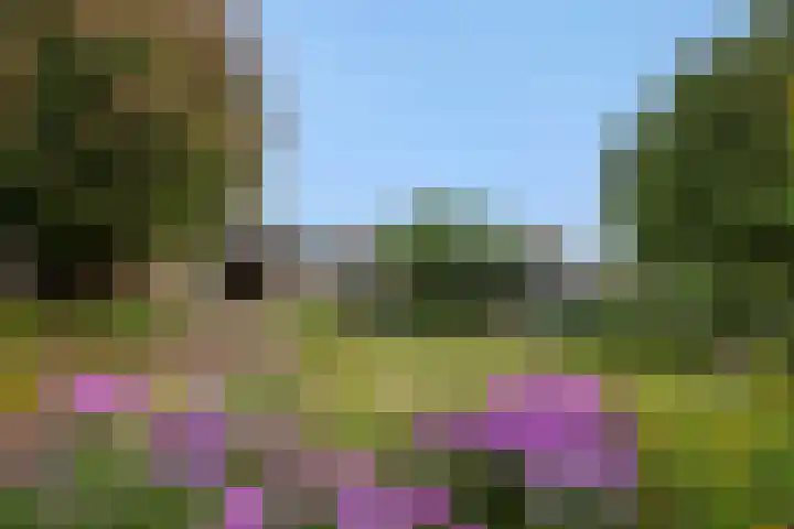 Asterstraat 17 Heesch thumbnail 43