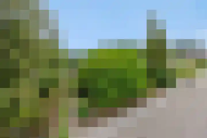 Asterstraat 17 Heesch thumbnail 47