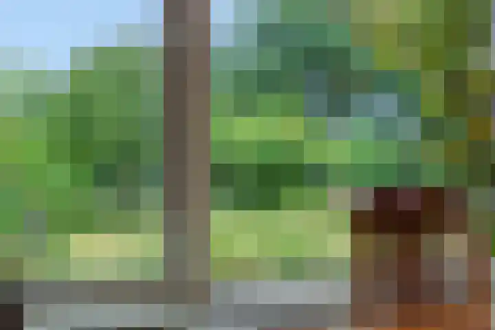 Asterstraat 17 Heesch thumbnail 9