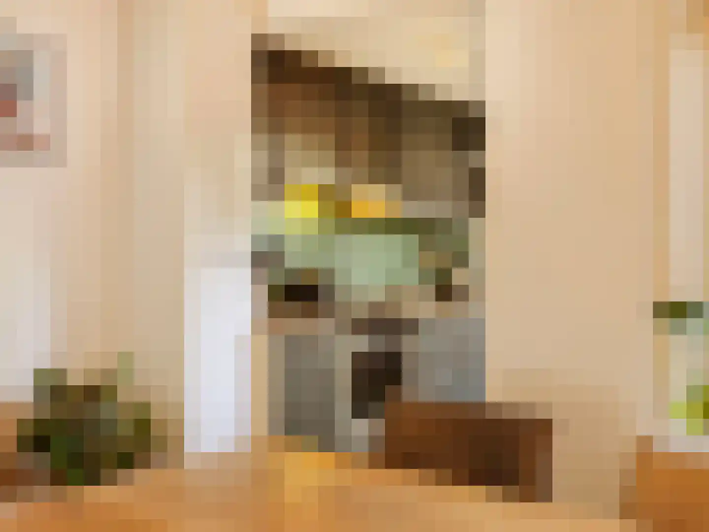 Asterstraat 17 Utrecht thumbnail 10