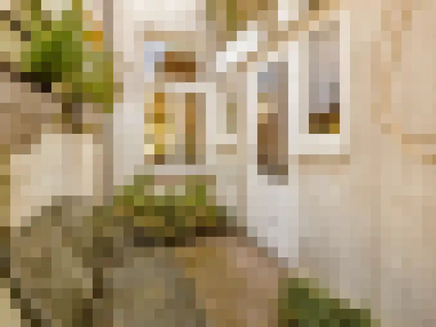 Asterstraat 17 Utrecht thumbnail 14