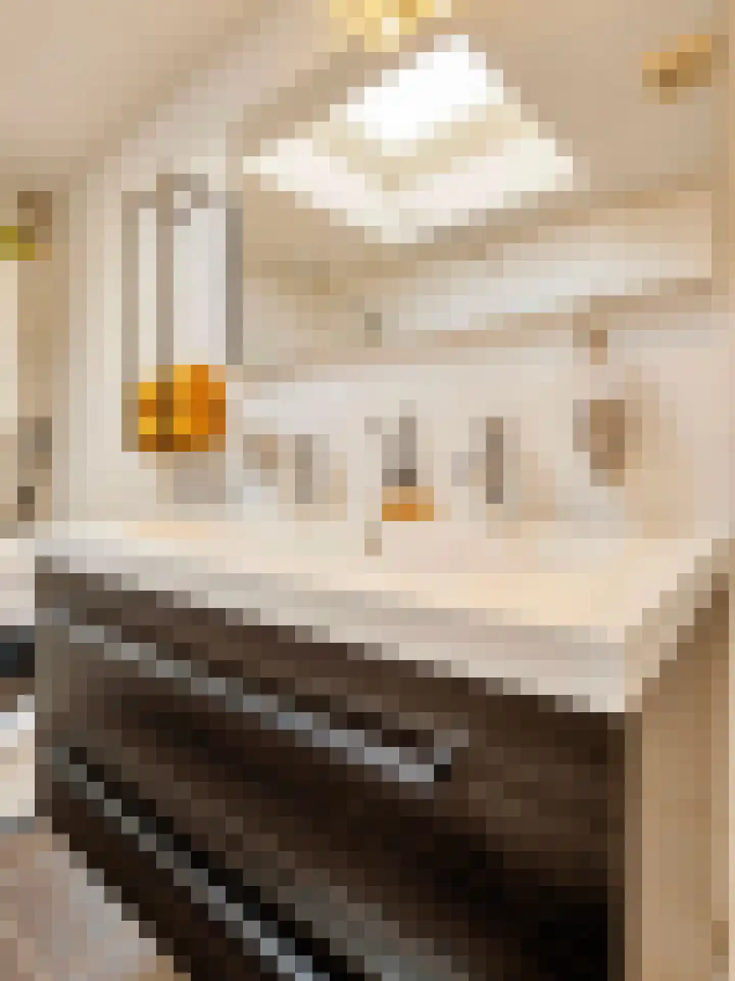 Asterstraat 17 Utrecht thumbnail 17