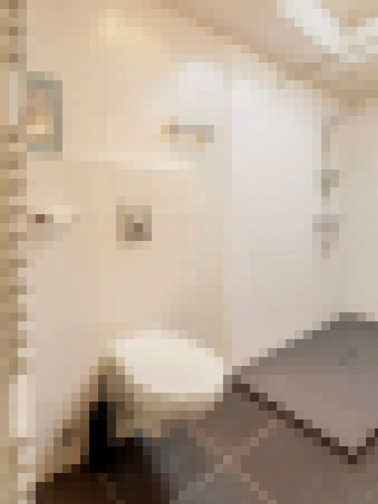 Asterstraat 17 Utrecht thumbnail 18