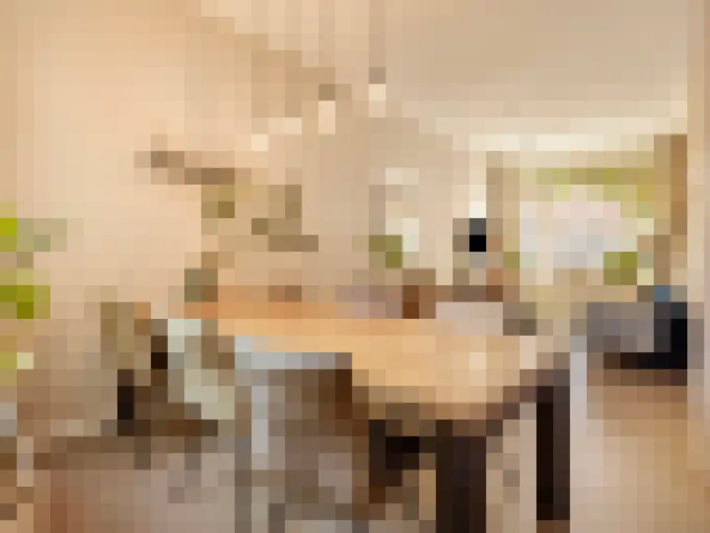 Asterstraat 17 Utrecht thumbnail 9