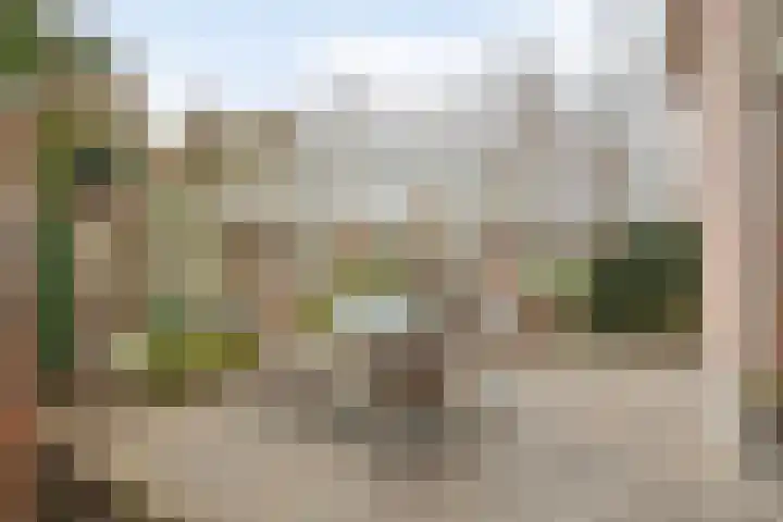 Asterstraat 18 Veghel thumbnail 28