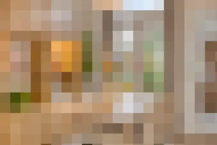 Asterstraat 19 Utrecht thumbnail 14
