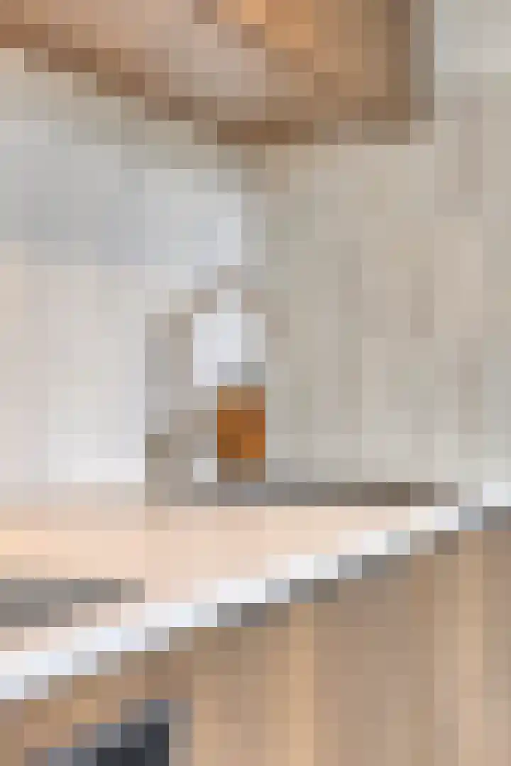 Asterstraat 19 Utrecht thumbnail 23