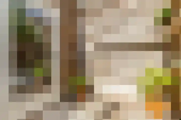 Asterstraat 2 A Utrecht thumbnail 17