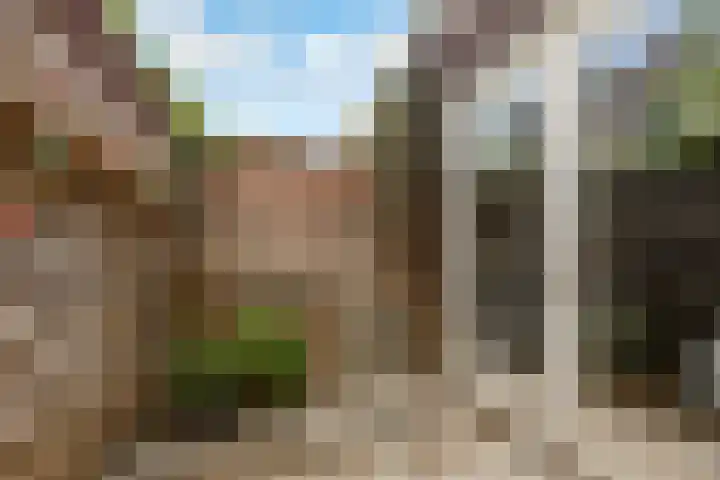 Asterstraat 2 A Utrecht thumbnail 18
