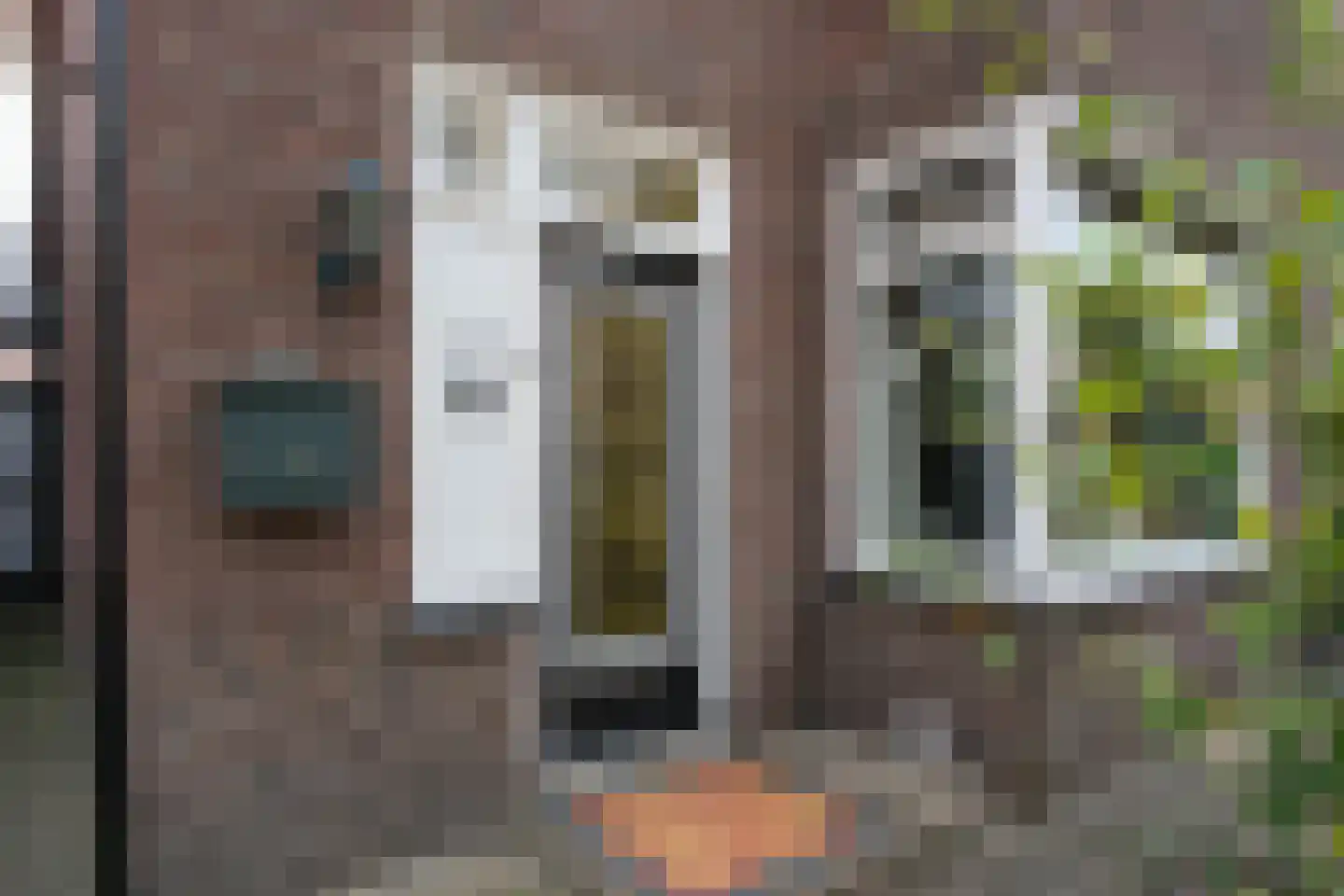 Asterstraat 2 Almelo thumbnail 34