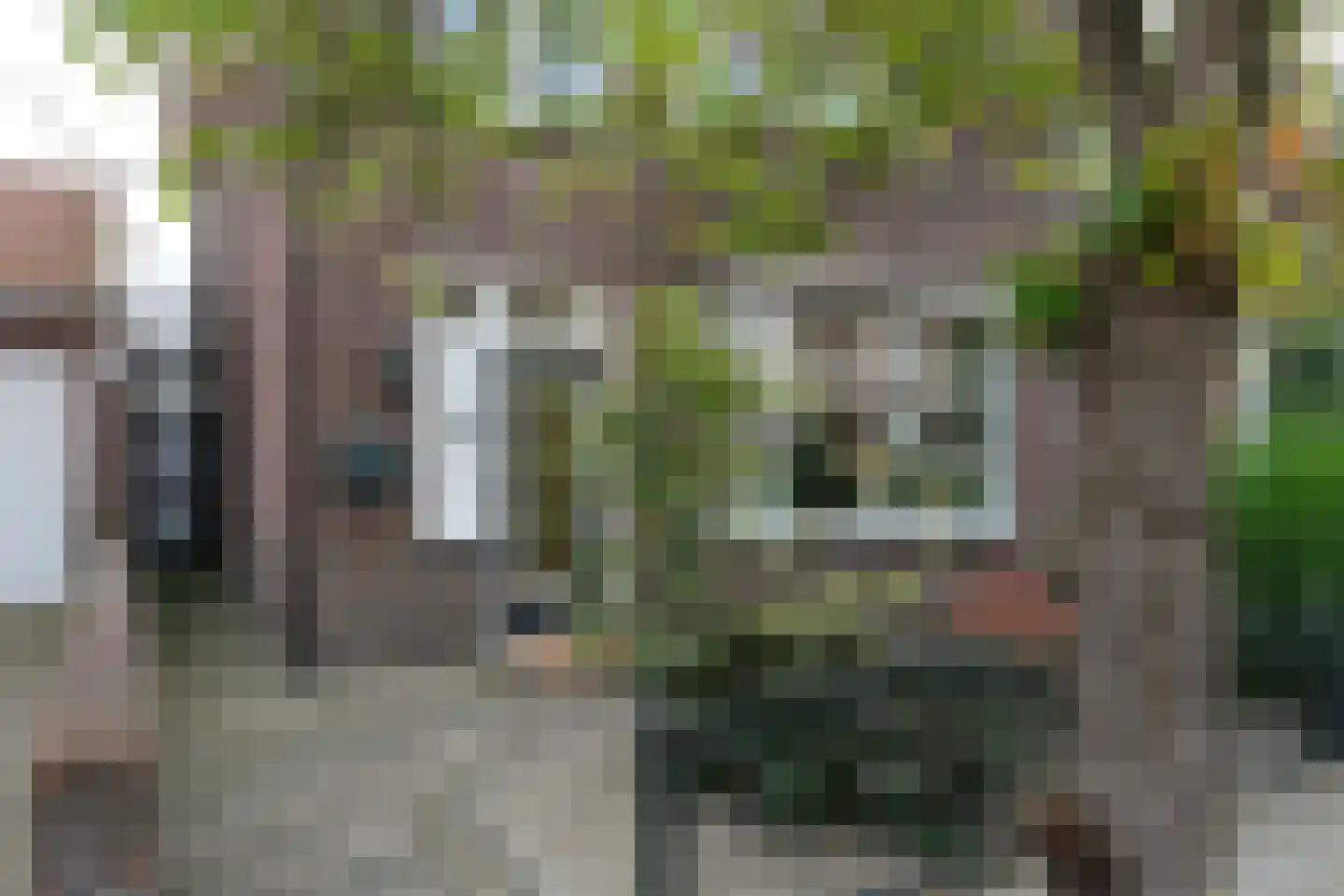 Asterstraat 2 Almelo thumbnail 4