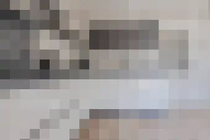 Asterstraat 2 Dongen thumbnail 17