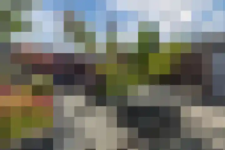 Asterstraat 2 Dongen thumbnail 38