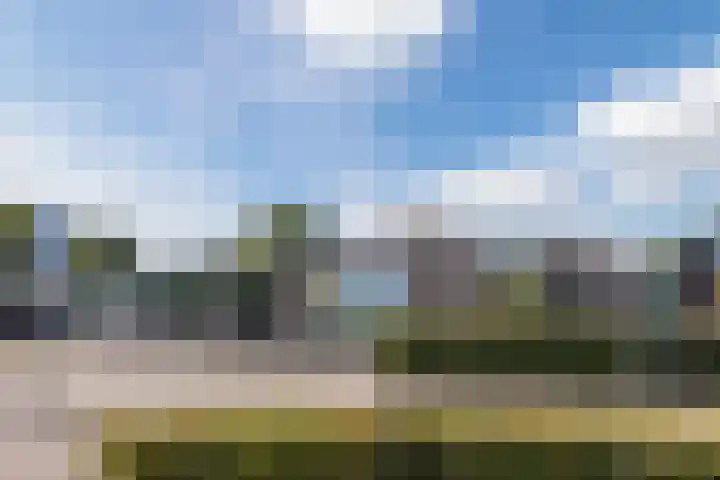 Asterstraat 2 Dongen thumbnail 44
