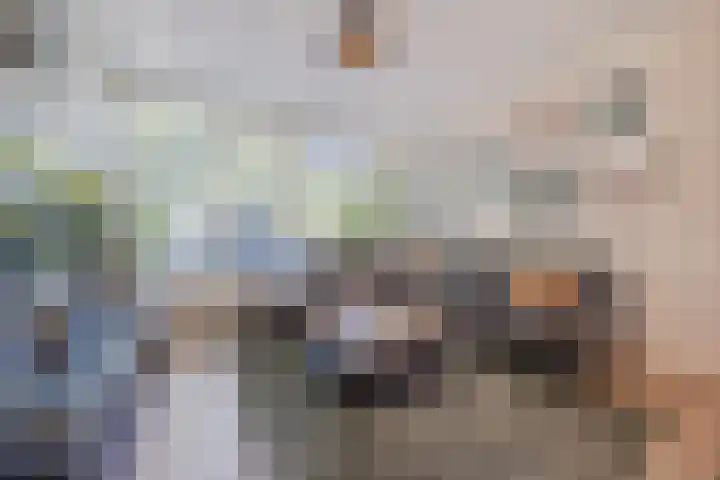 Asterstraat 2 Dongen thumbnail 9