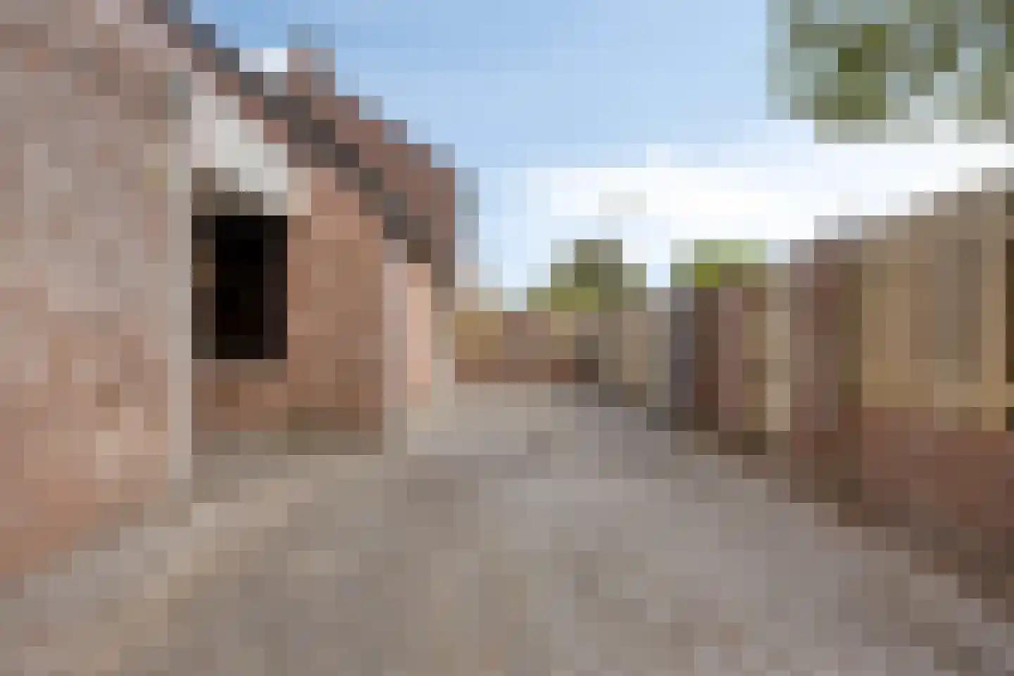Asterstraat 2 Drunen thumbnail 33