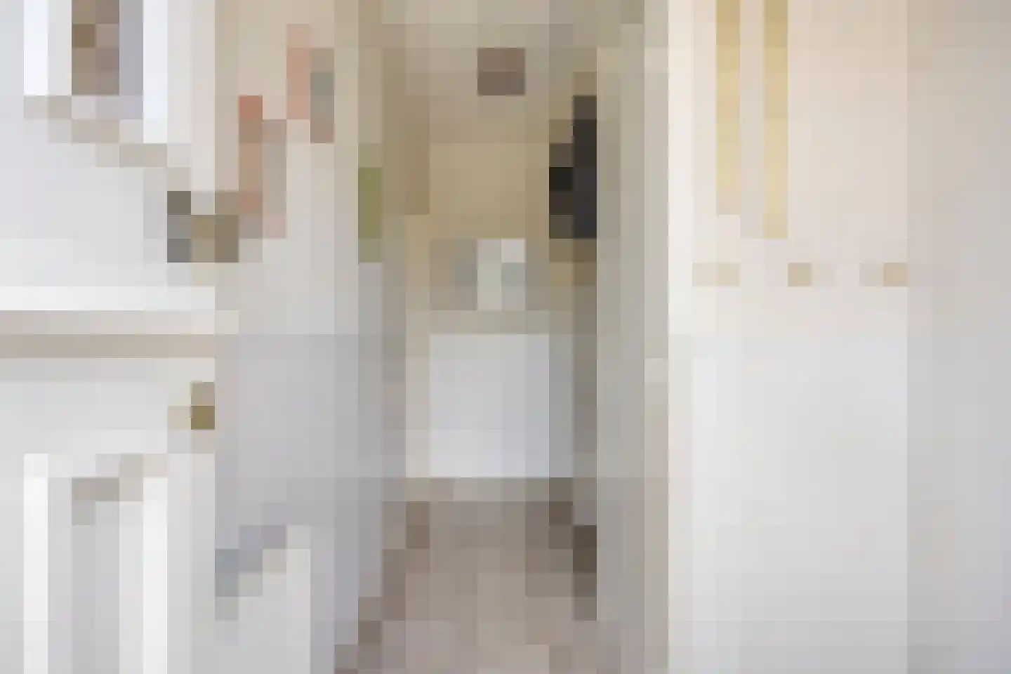 Asterstraat 2 Drunen thumbnail 4