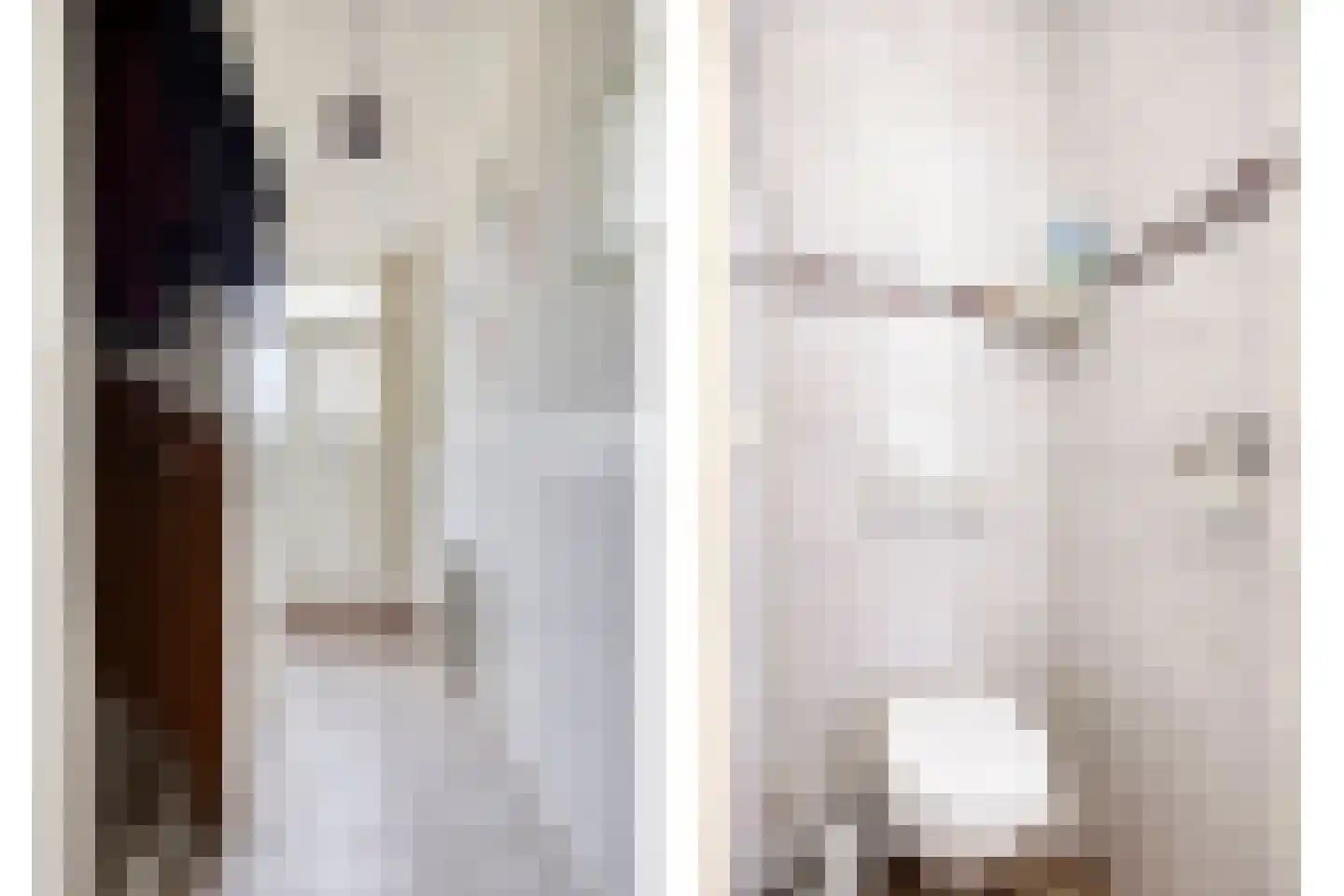 Asterstraat 2 Drunen thumbnail 5