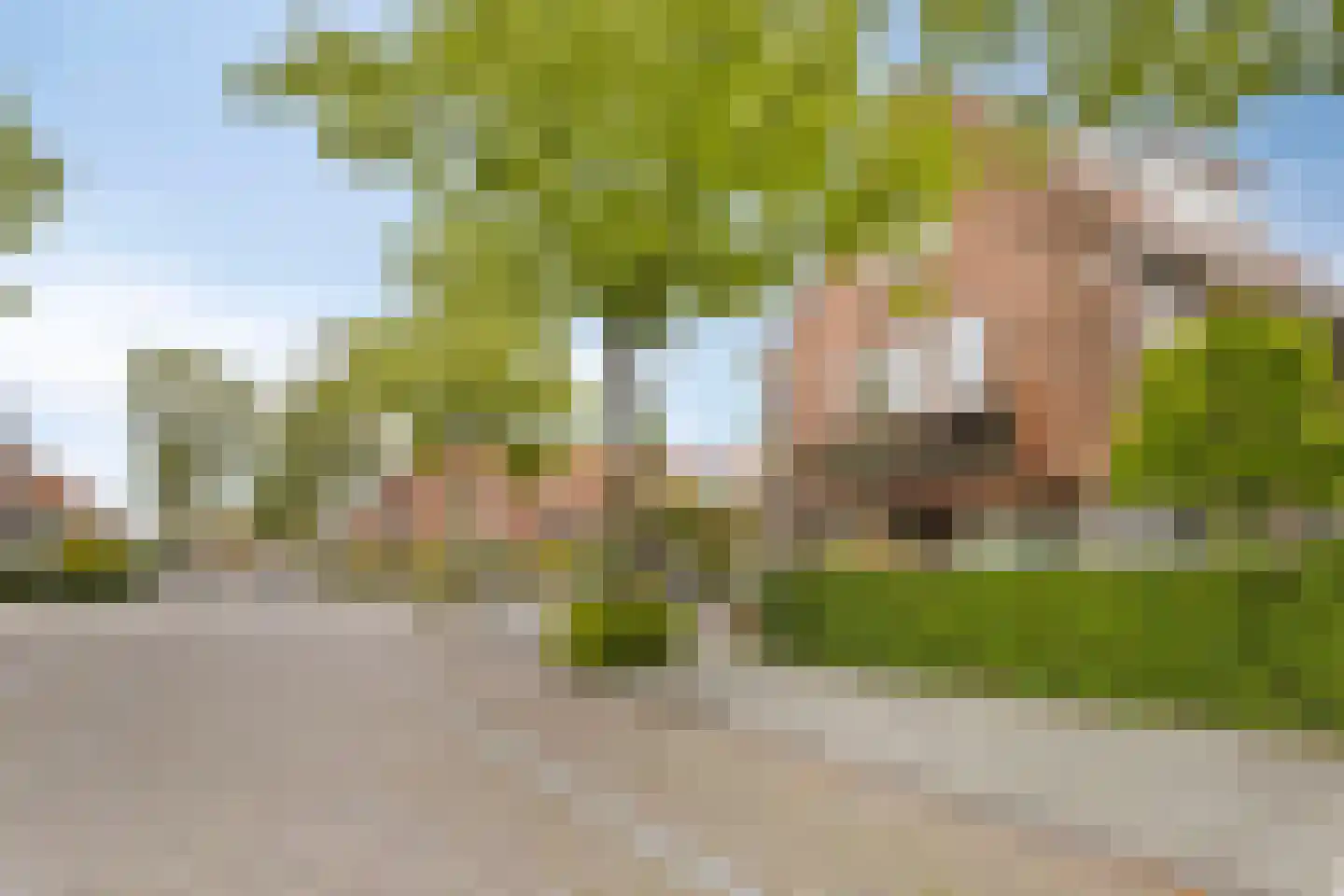 Asterstraat 2 Leeuwarden thumbnail 28
