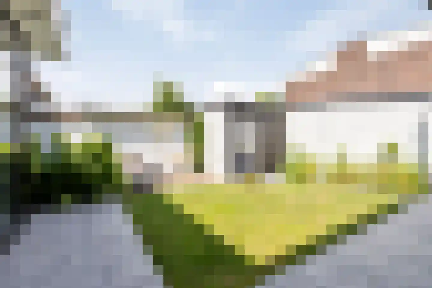 Asterstraat 2 Sint-Michielsgestel thumbnail 13